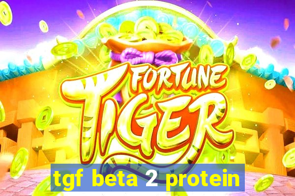 tgf beta 2 protein